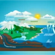 15. Bloque 2. The water cycle.